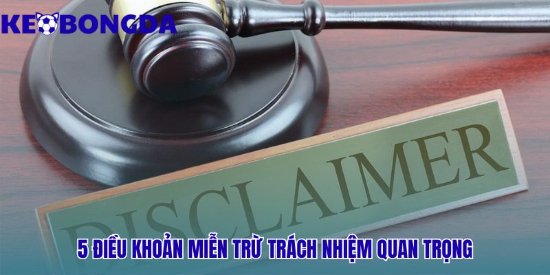 5 điều khoản miễn trừ trách nhiệm định hình quan hệ pháp lý