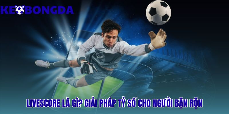 Livescore giải pháp thông tin cho người hâm mộ bận rộn