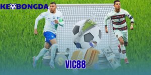 Vic88 | Đánh Giá Uy Tín - Sảnh Thể Thao Xanh Chín 173 vic88
